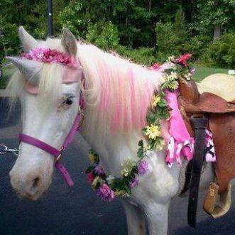 Unicorn